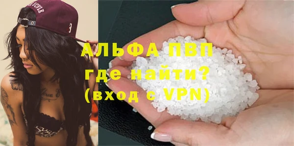 МДПВ Каменка