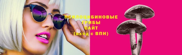 МДПВ Каменка