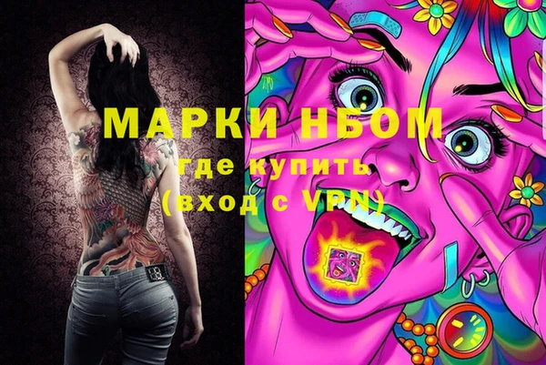 МДПВ Каменка