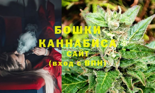 МДПВ Каменка
