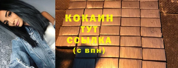 МДПВ Каменка