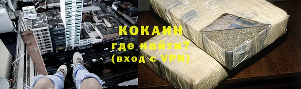 МДПВ Каменка