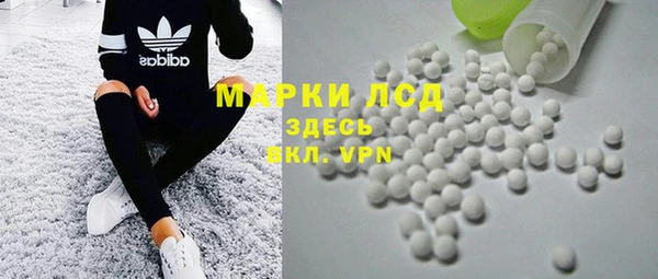 МДПВ Каменка