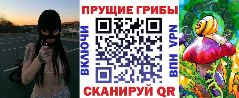 Псилоцибиновые грибы GOLDEN TEACHER  Купить закладки  Староминская 